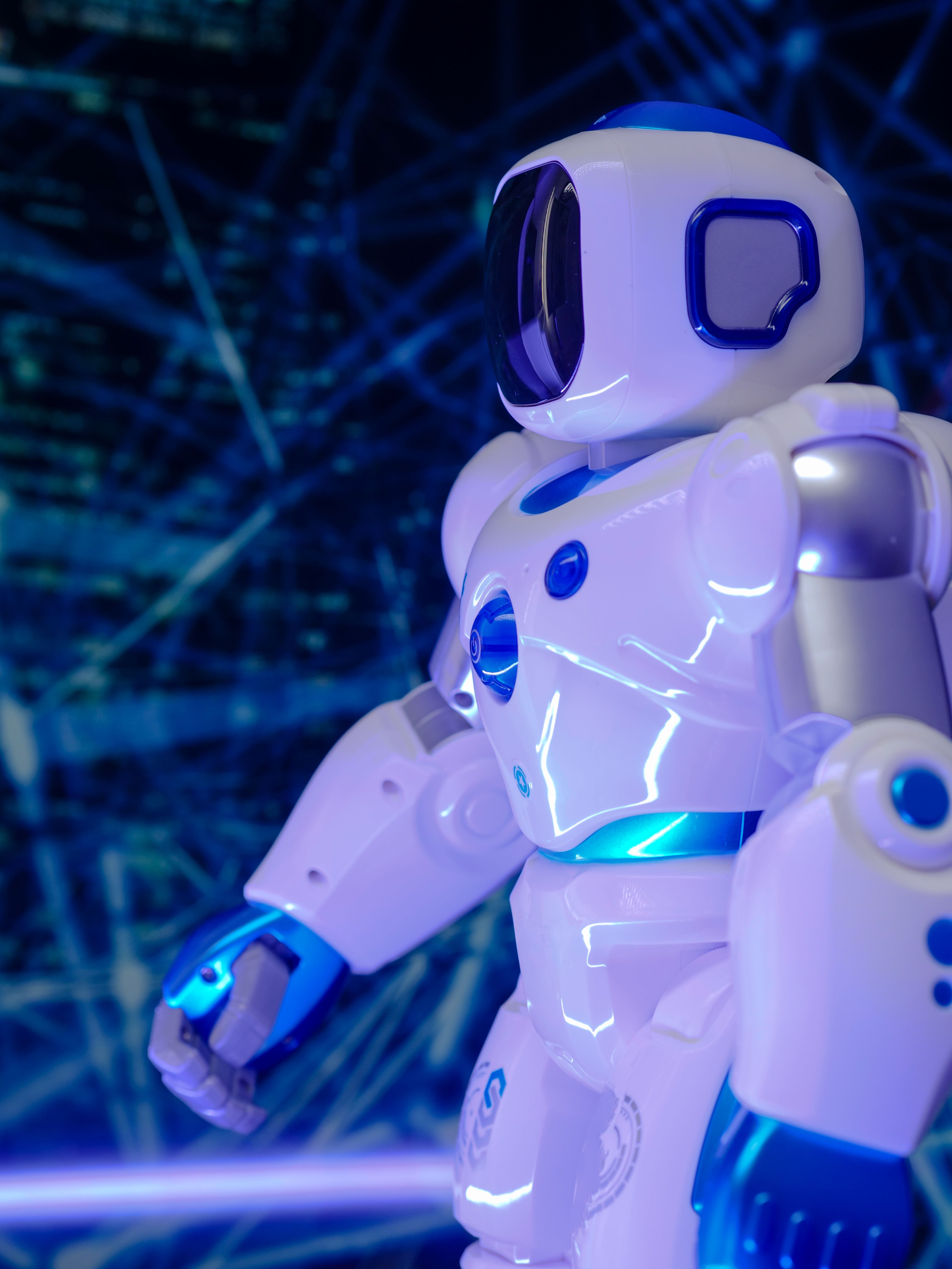 Robot companion and the future of human society